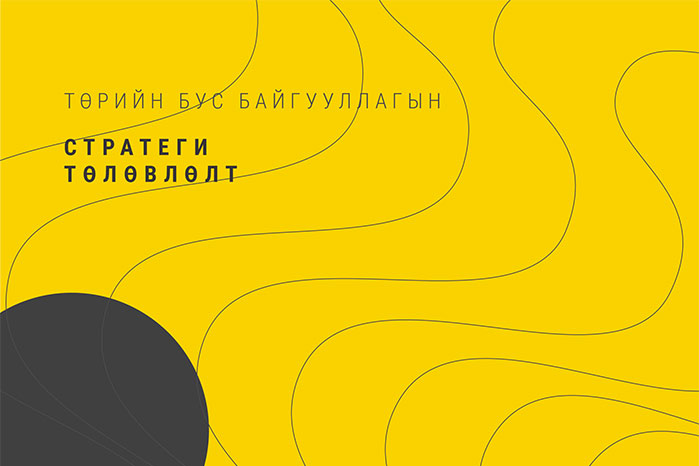 Төрийн бус байгууллагын стратеги төлөвлөлт